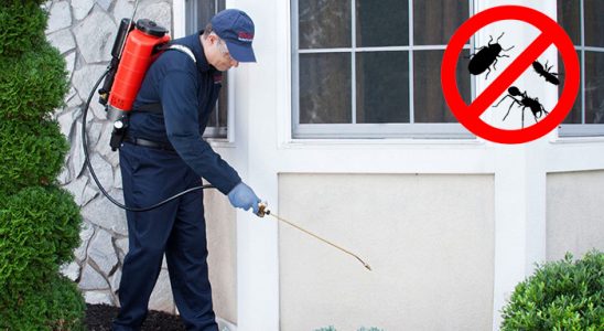 Şakran Hamam Böceği İlaçlama böcek ilaçlama ve haşere kontrolü — ilaclama-tr.com